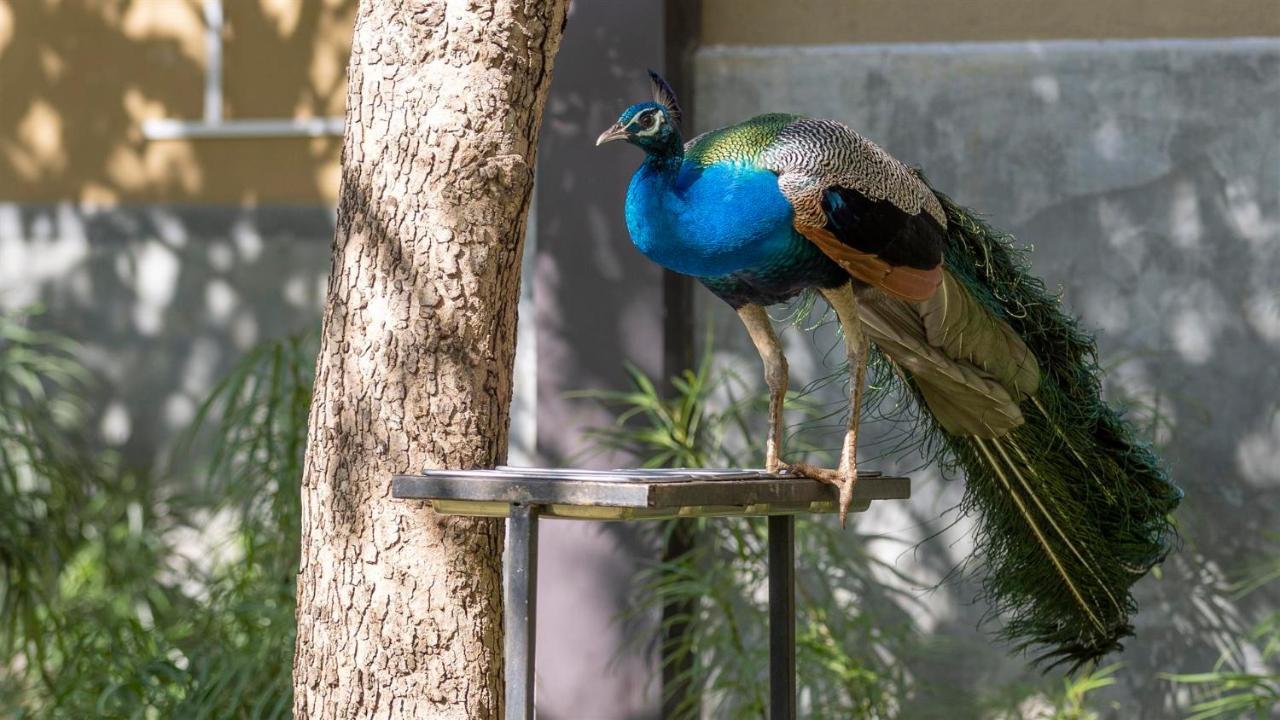 Birds Resort Hambantota Exterior photo